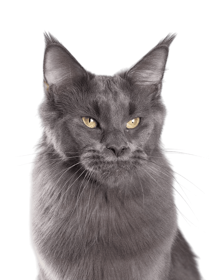 красивая картинка